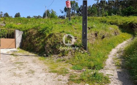 Excellent land with 915 m2, located in a housing area, close to services, good areas, good access. Excellent Opportunity! Book your visit!