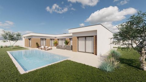 Modern off plan villa with private swimming pool on 700 sqm land in Nadadouro, very close to Foz do Arelho beach and just a few minutes from Obidos Lagoon. Secure your feel good villa now and watch it being built to your specification. This is a proj...
