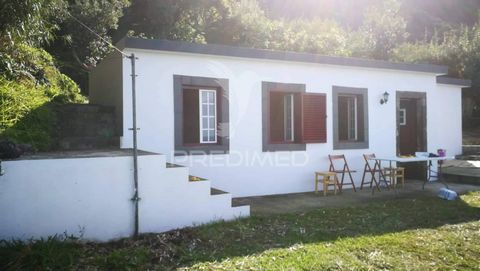 Schönes Landhaus in Fajã do Ouvidor, Insel São Jorge, ein T0 mit allen notwendigen Annehmlichkeiten, damit Sie einen Traumurlaub mitten in der Natur mit Ruhe und Frieden verbringen können. Nur wenige Minuten vom natürlichen Pool Poça Simão Dias entfe...