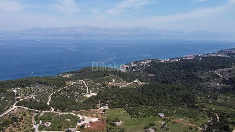 Brač, Sutivan, sale of agricultural land with an area of 24,328 m2, direct access from a 4m wide road with all infrastructure. From the land there is an open view of Šolta, Hvar and Vis on one side, and on the Split channel on the other. Considering ...