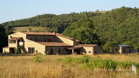 Traditional ancient stone farmhouse with swimming pool and plenty of land including a DOC vineyard for sale near Grosseto, Tuscany. The farmhouse, dating back to 1700, stands in a unique position, between Grosseto and Siena. The farmhouse set in the ...