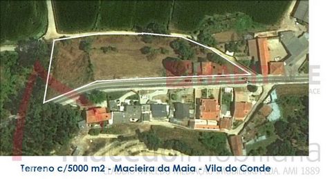Land with stone house, area over 5000 m2 to loathe and build. Exclusive business. Don't miss it, visit!