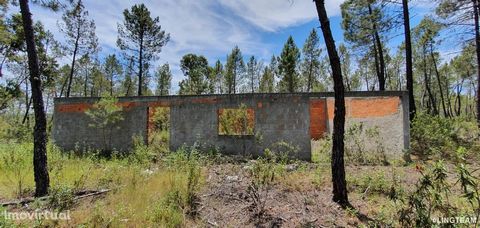 Another Ling Exclusive Farm for sale with 10.480 m2 in the parish of Sarzedas, Castelo Branco - With brick construction, 1 well, pine forest and eucalyptus - The construction (in the initial phase) is about 100 m2 and to date, it will only be possibl...