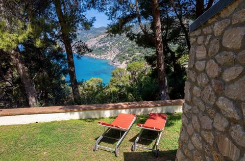 Porto Santo Stefano, Loc. Le Scorpacciate. Localizado em uma localização tranquila e privada, oferecemos uma villa elegante com um jardim privado e uma vista extraordinária para o mar. Composto por uma sala de estar com sala de jantar e cozinha abert...