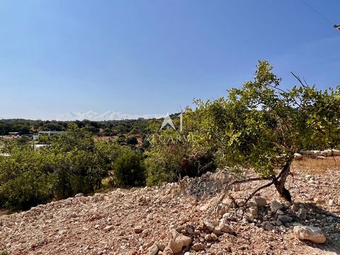 Nestled in the natural green outskirts of the picturesque town of Loulé, this land with an area of 8.104m2 is diligent for the development of a Rural Tourism Enterprise. The allowance consists of 24 suites, 3 flats with 2 bedrooms, 1 flat with 1 bedr...