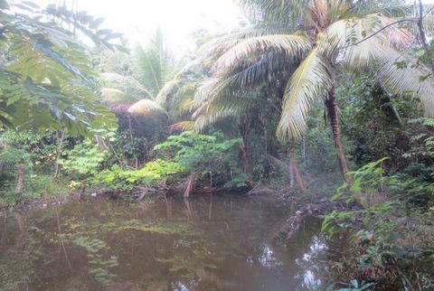 100 ACRES COVERED WITH JUNGLE| PROPERTY IN BELIZE We are pleased to offer you another property in Belize and an amazing price!  Located west of the Valley of Peace Community in Western Belize is this 100 acre parcel of land. This property is located ...