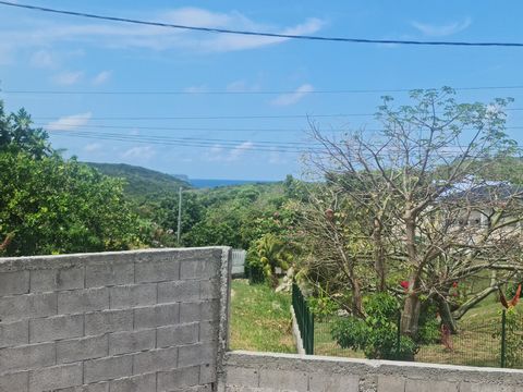 photo no. 1