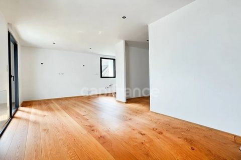 photo no. 2