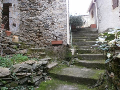 photo no. 15