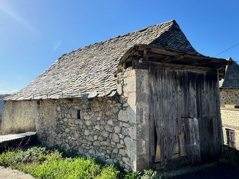 photo no. 13