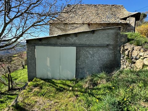 photo no. 15