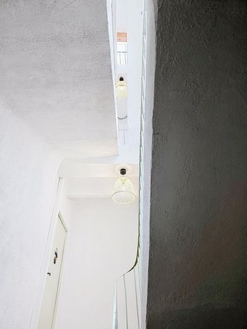 photo no. 6