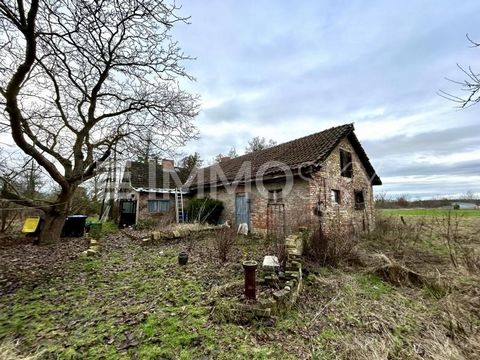 Would you like to make your dream home come true in an attractive location in 2025? Welcome to Oranienburg, where rural idyll and a wide range of possibilities come together! On an impressive 14,800 m² of total area, this plot offers a rare combinati...