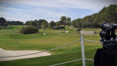 photo no. 11