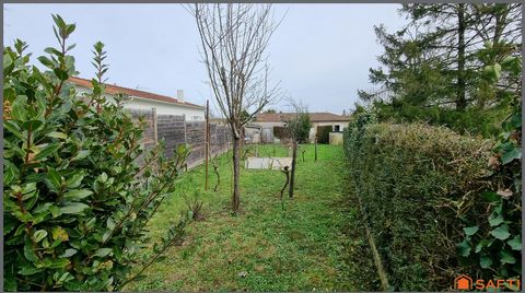 photo no. 12