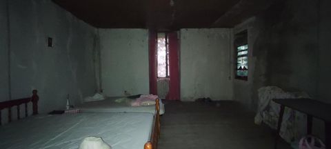photo no. 8