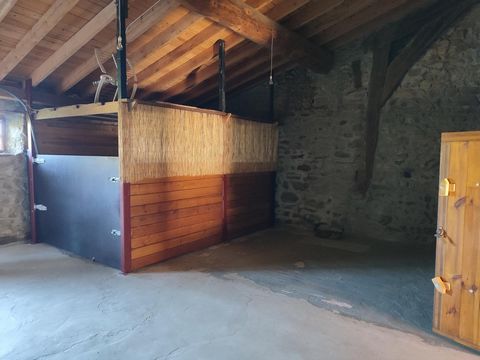 photo no. 9