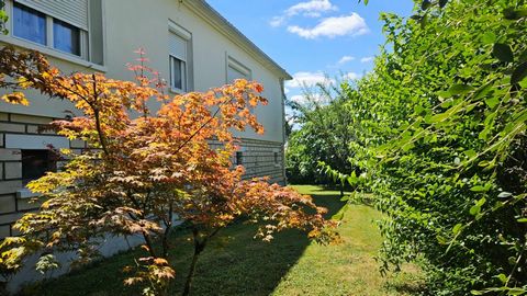 photo no. 11