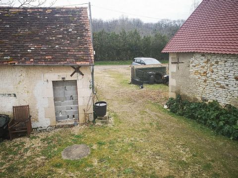 photo no. 10