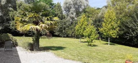 photo no. 14