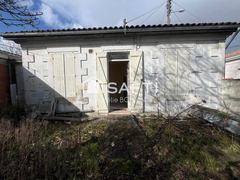 photo no. 3