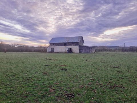 photo no. 13
