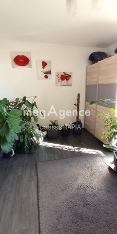 photo no. 9