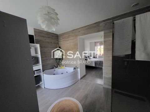 photo no. 12