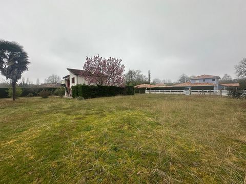 photo no. 5