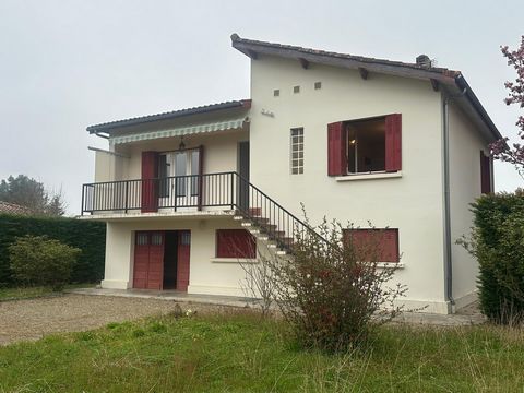 photo no. 6