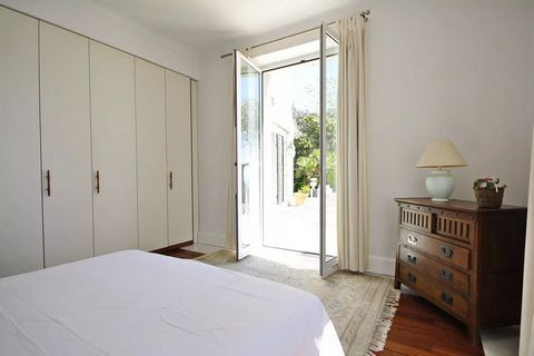 photo no. 9