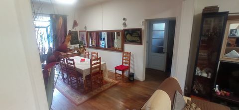 photo no. 12