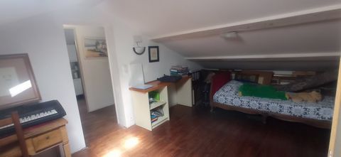 photo no. 15