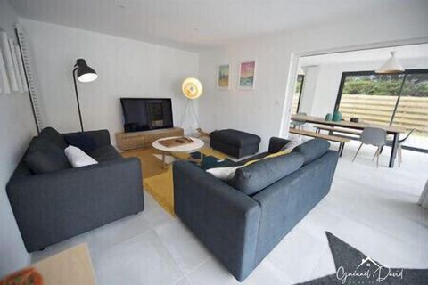 photo no. 8