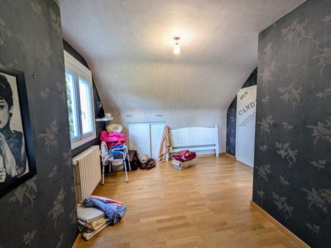 photo no. 11