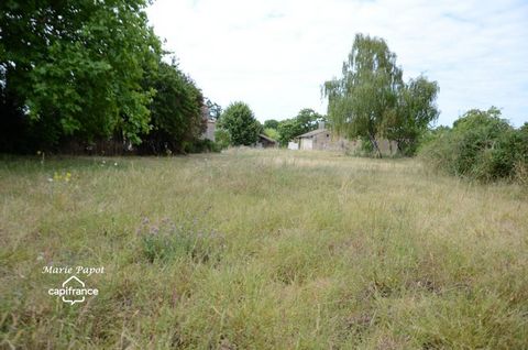 photo no. 2