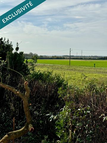 photo no. 11
