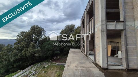 photo no. 6