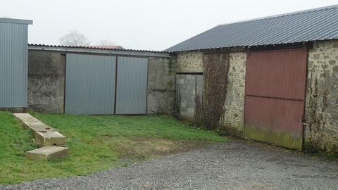 photo no. 3