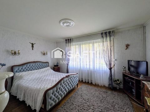 photo no. 6