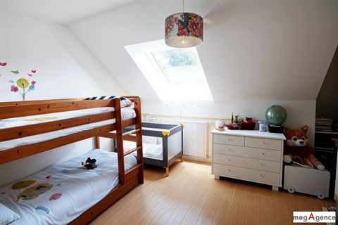 photo no. 11