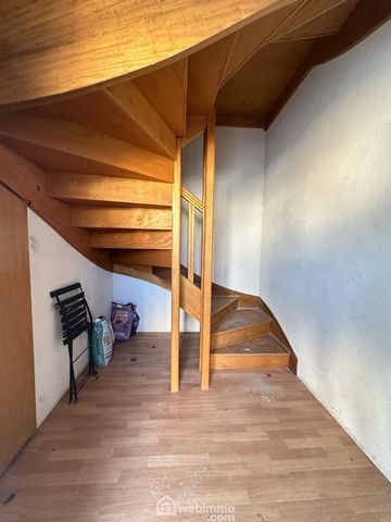 photo no. 11