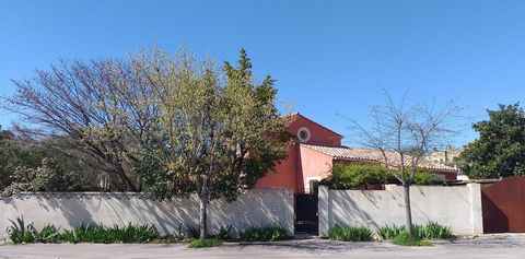 photo no. 2