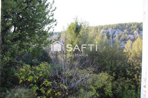 photo no. 9