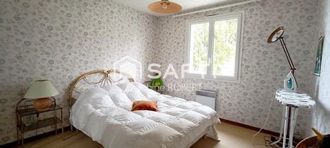 photo no. 11