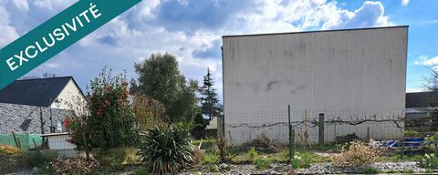 photo no. 2
