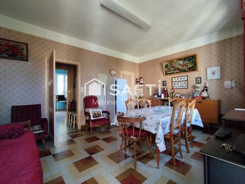 photo no. 4