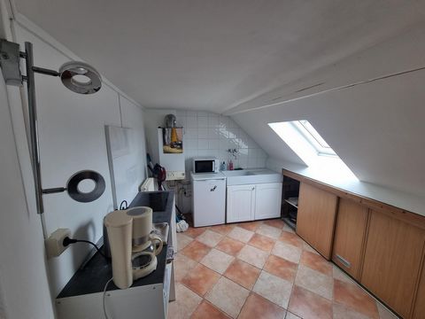 photo no. 6