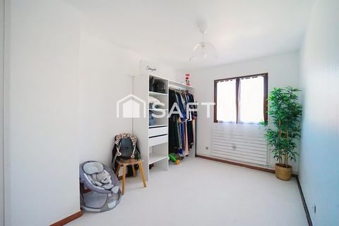 photo no. 11