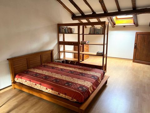 photo no. 10